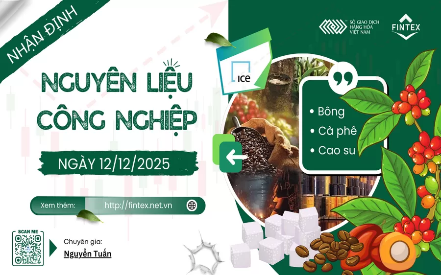 NHẬN ĐỊNH NGUYÊN LIỆU - CÔNG NGHIỆP NGÀY 12/12/2025